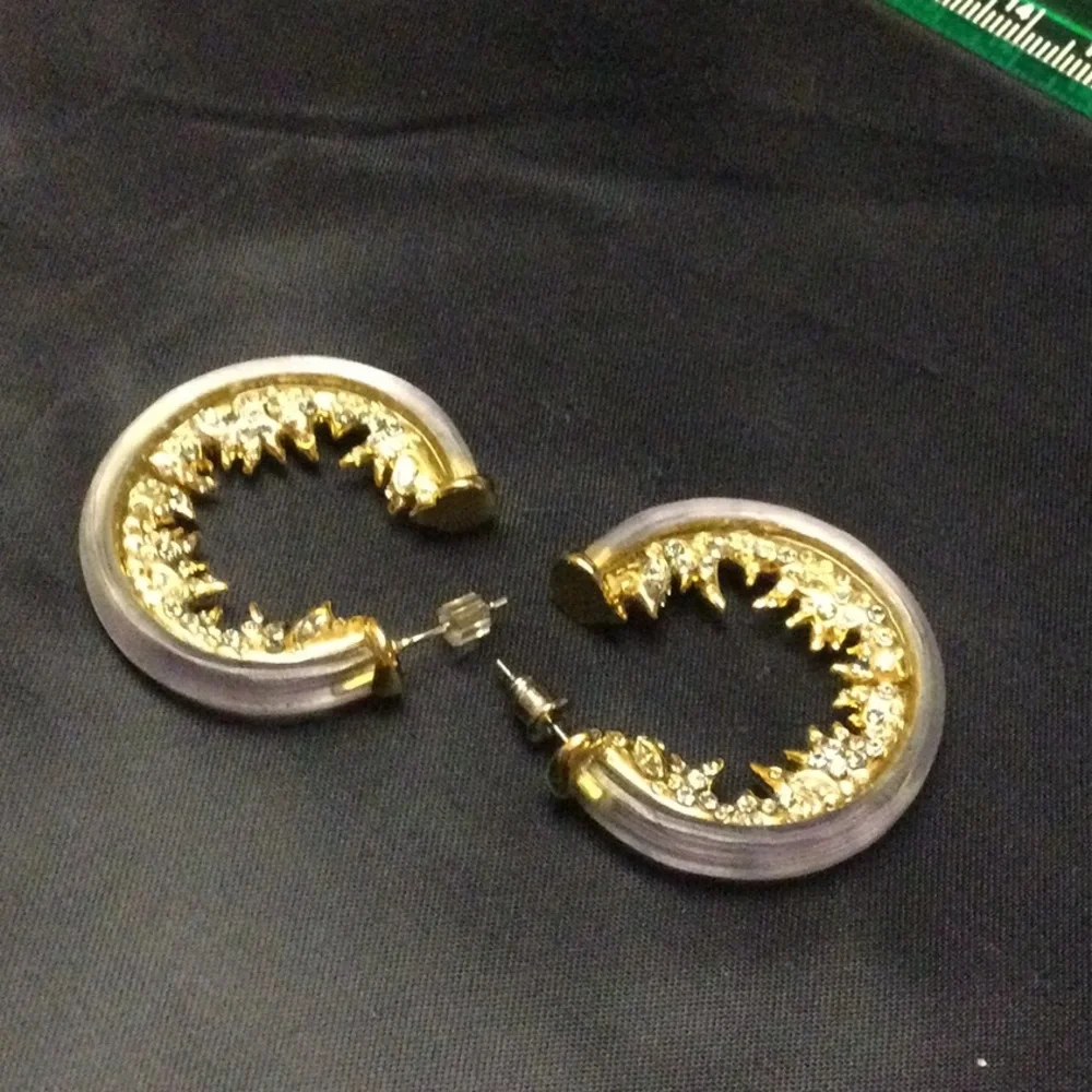Alexis Bittar Lucite And Rhinestone Hoop Earrings - Picture 1 of 7